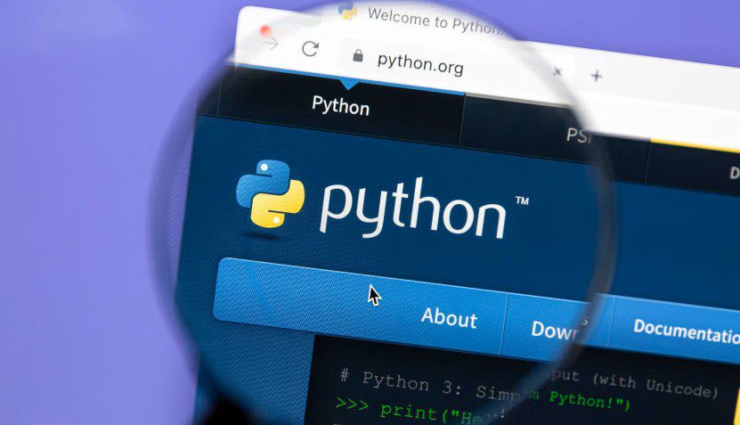 Successful Python graduates