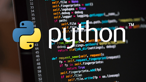 Professional instructor teaching Python programming to students in Chandigarh.