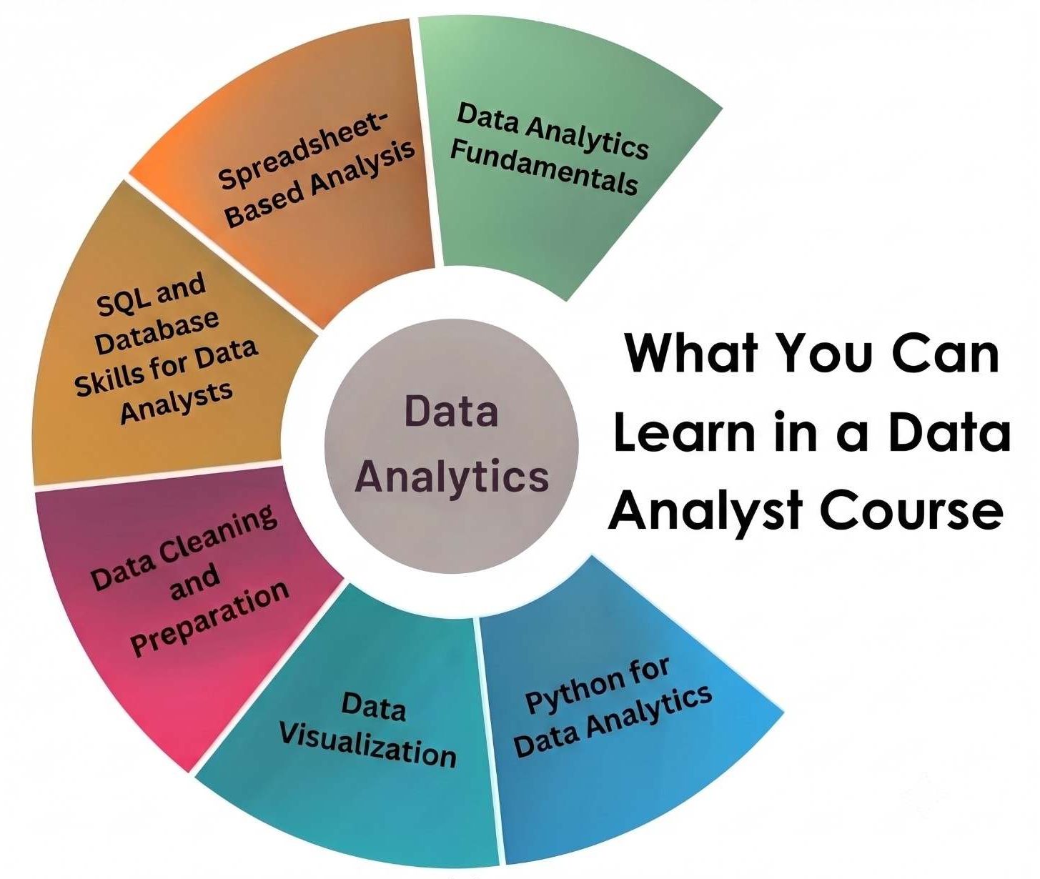 What You Can Learn in a Data Analyst Course