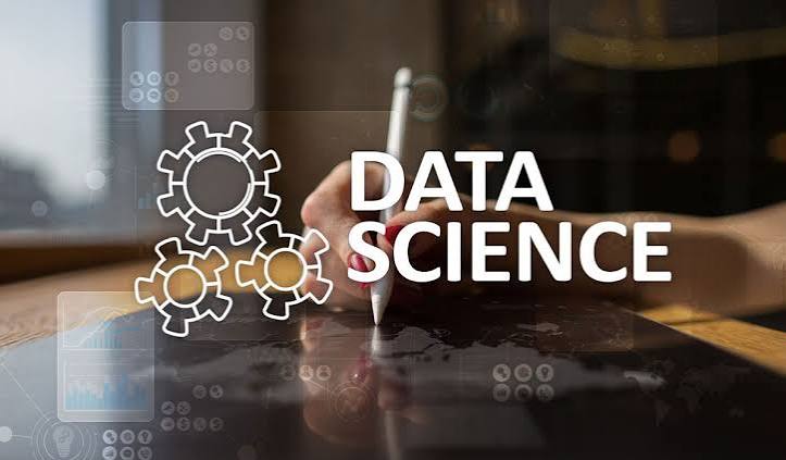What is a Data Scientist